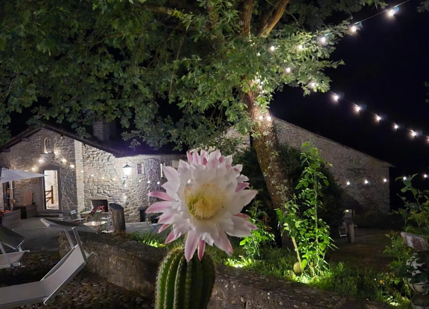 Borgo Corniola B&B Naturista Marradi