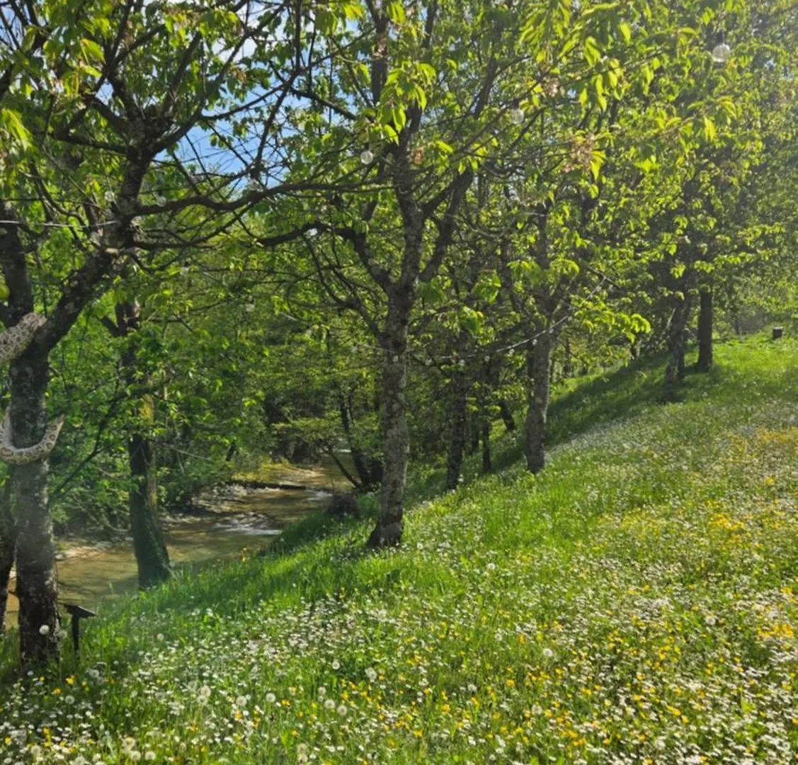 Borgo Corniola B&B Naturista Marradi Bed & Breakfast