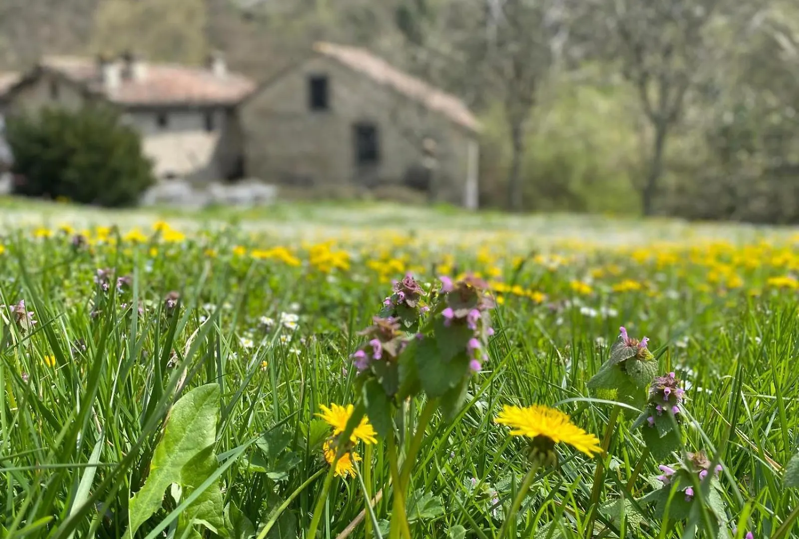 Borgo Corniola B&B Naturista Marradi 0*,  Italien